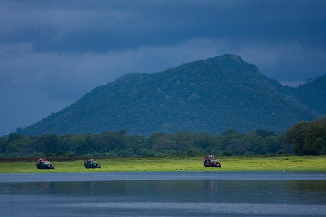 Udawalawe National Park Safari from Bentota - What the 9:00 am start means