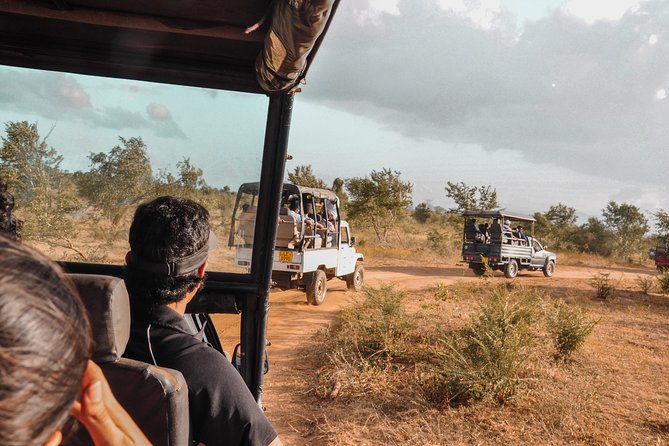Udawalawe National Park Safari from Galle - Is $107 a fair price?