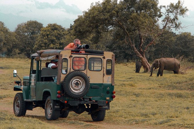 Udawalawe National Park Safari from Mirissa - Is $92 good value?