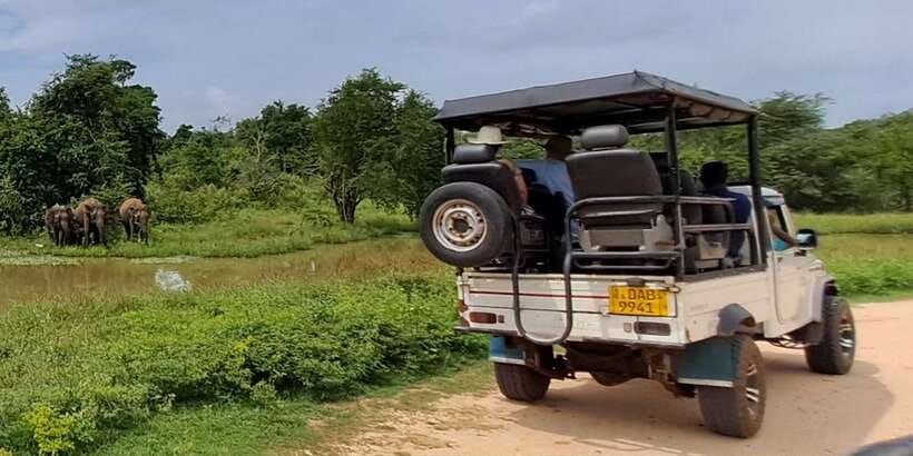 Udawalawe National Park Safari Tour - Key points to know before booking