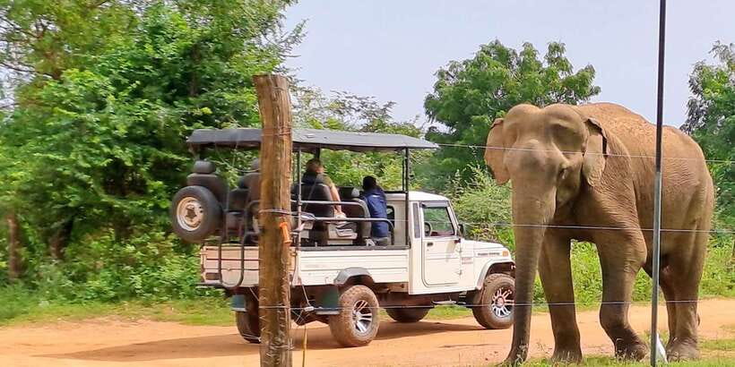 Udawalawe National Park Safari Tour - Entering the park in a private 4x4 jeep