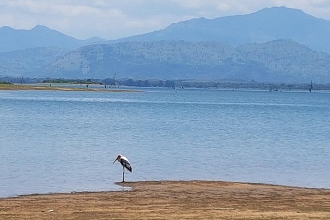 Udawalawe National Park Safari trip from Galle/Mirissa/Ella - Is the $190 price good value?