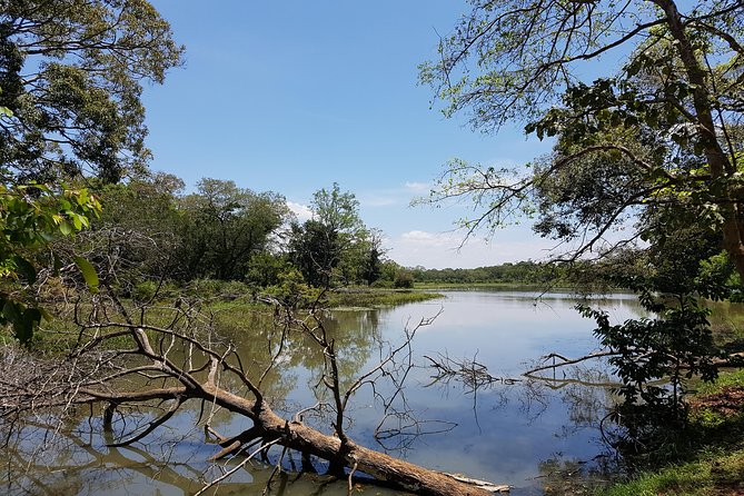 Udawalawe National Park Safari trip from Galle/Mirissa/Ella - Who should book this safari?
