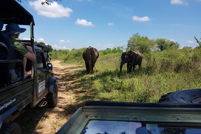 Udawalawe National Park Safari trip from Galle/Mirissa/Ella - Practical advice before you go
