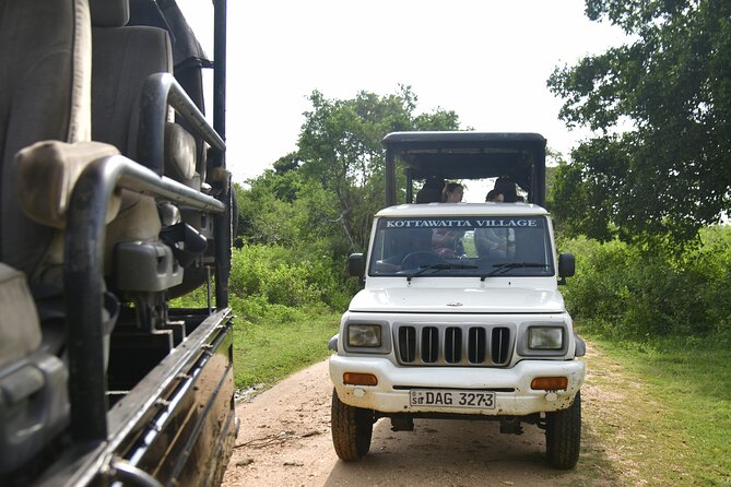 Udawalawe National Park Wildlife Safari Tours - The real cost is about $84 per person