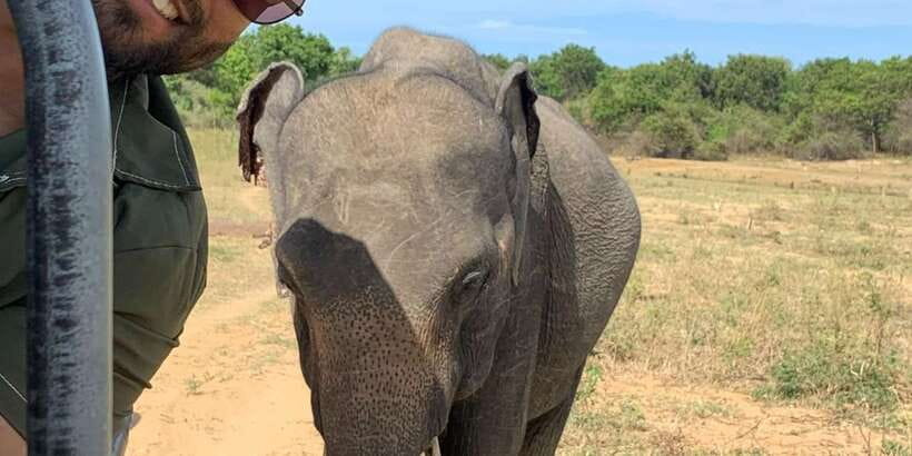 Udawalawe National park with Safari jeep & Entrance ticket - The shared jeep ride into the park