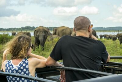 Udawalawe Private Safari frm Hambantota Port by BTM-All Inclusive