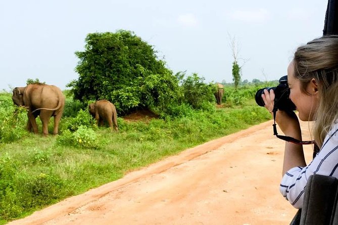 Udawalawe Private Safari frm Hambantota Port by BTM-All Inclusive - The full-day option and picnic lunch