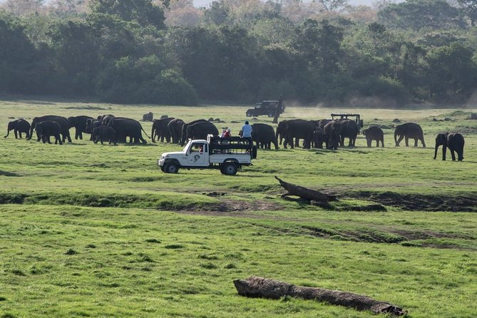 Udawalawe Private Safari frm Hambantota Port by BTM-All Inclusive - The bumpy roads are part of the deal