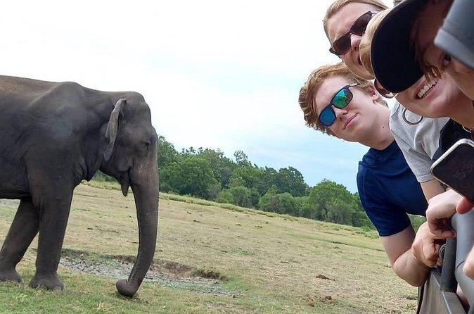 Udawalawe Safari Adventure - The real cost: $18 is only the starting point