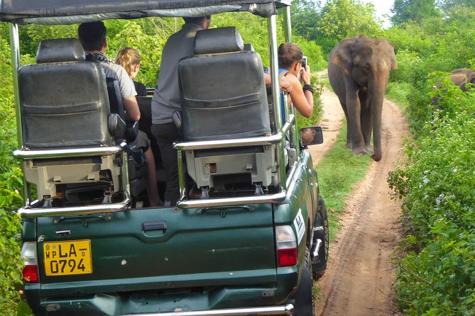 Udawalawe Safari Day Trip from South Region & Transfer to Ella - What is included, and what you still need to budget