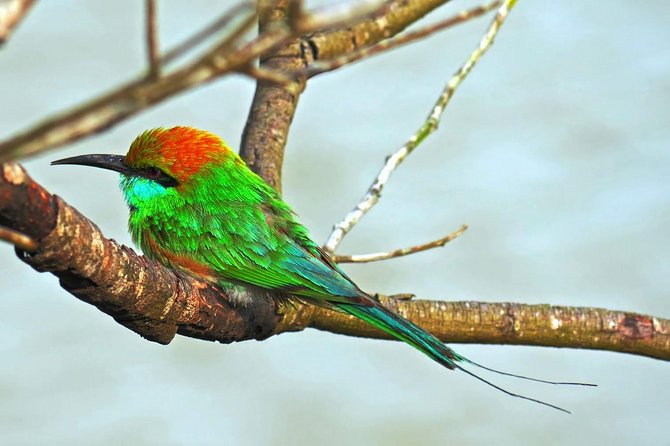 Udawalawe Safari Day Trip with Return Transport - All Inclusive - Is $180 per person a fair price?