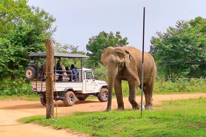 Udawalawe Safari - Private & Customize Tour - Understanding the route from Galle and the beach towns