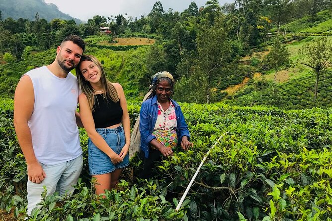 Ultimate 8-Day Sri Lanka Adventure: Private Guided Tour - The best parts of this Sri Lankan route