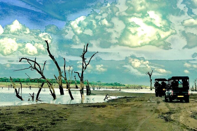 Ultimate 8-Day Sri Lanka Adventure: Private Guided Tour - Day 1: Elephants, craftwork, and an Ayurvedic pause