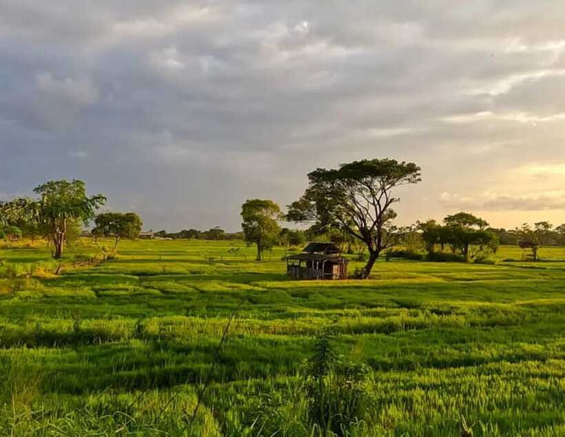 Unseen Sigiriya: Village & Rock Viewpoints by Tuk Tuk - Value at $13 per person