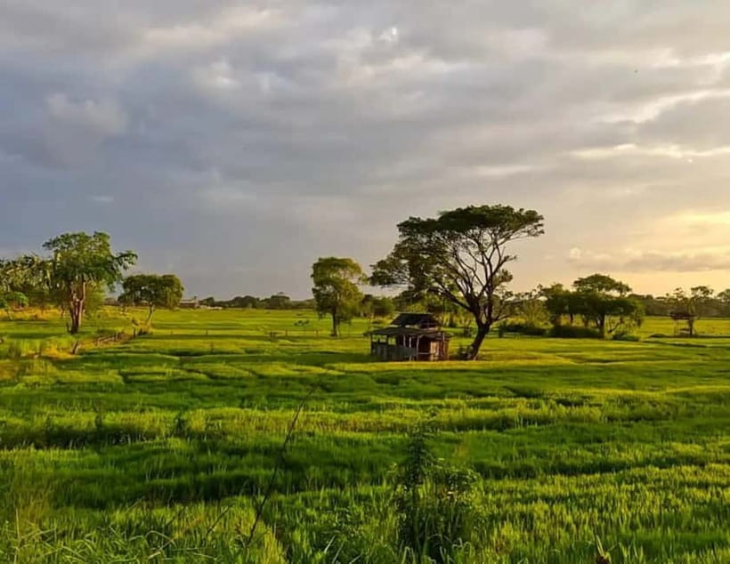 Unseen Sigiriya: Village & Rock Viewpoints by Tuk Tuk - Timing, weather, and practical planning