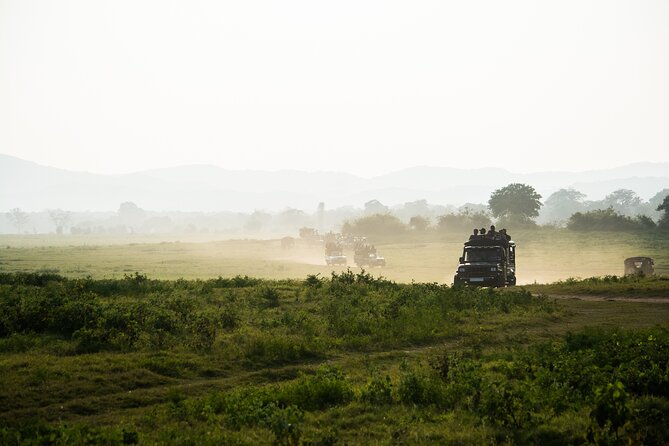VALUE PACK! One Day Safari Tour to Yala and Udawalawa Parks - Picnic lunch and the long transfer between parks