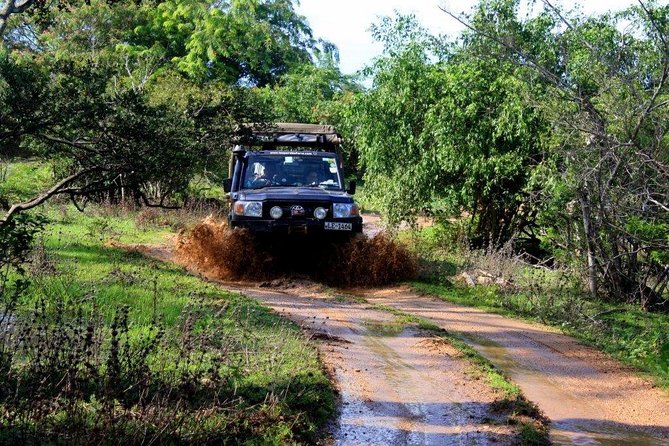 VALUE PACK! One Day Safari Tour to Yala and Udawalawa Parks - A short stop at Elephant Transit Home