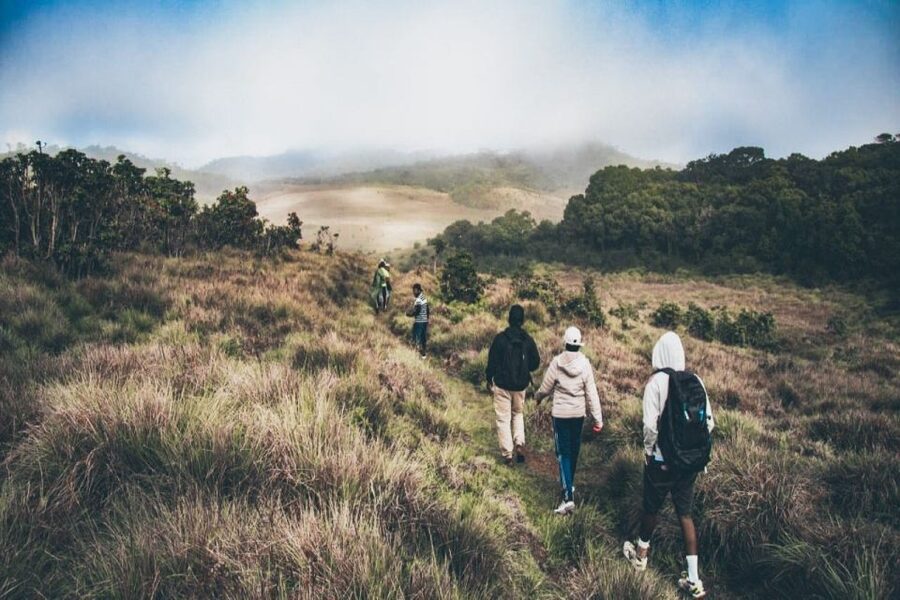 Visit Horton plains and Nuwara Eliya from Ella - Guides can shape the whole day
