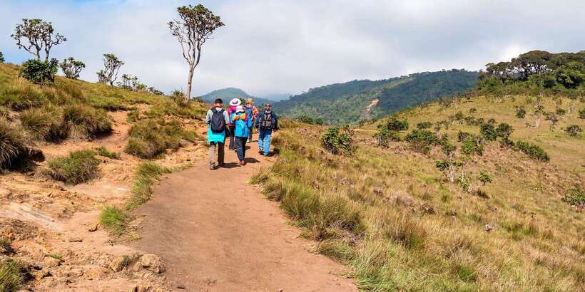 Visit Horton plains and Nuwara Eliya from Kandy - Key points at a glance