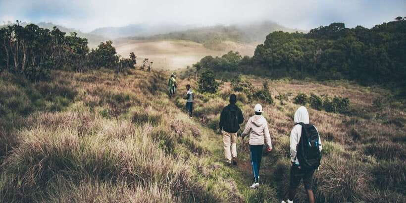 Visit Horton plains and Nuwara Eliya from Kandy - Nuwara Eliya, Sri Lankas cool hill town