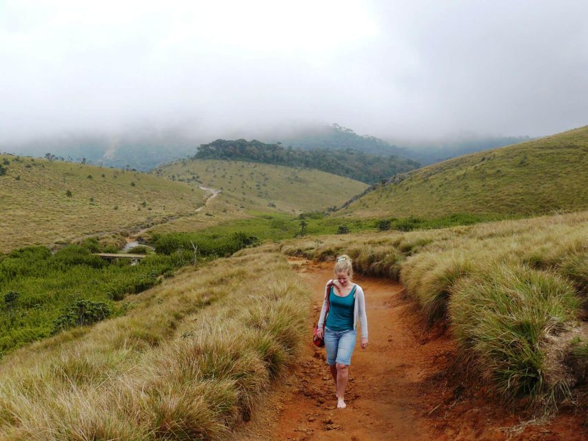 Visit Horton plains and Nuwara Eliya from Kandy - What the $70 price really covers