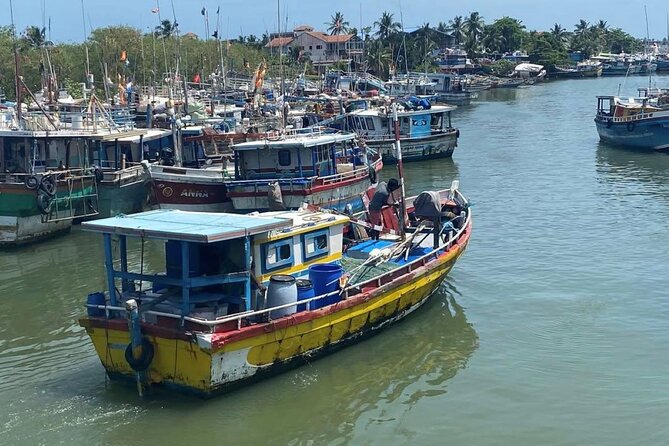 Visit Negombo by Scooty - All Inclusive - Starting at the Negombo Fish Market