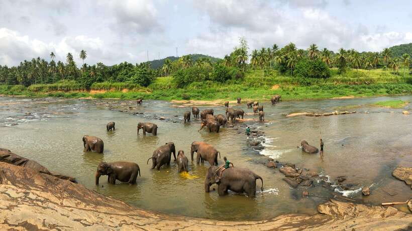 Visit sri Lanka 7 Days Round Trip - Day 4: Little Adam’s Peak and the Nine Arch Bridge