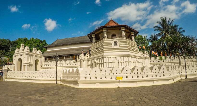 Visit sri Lanka 7 Days Round Trip - Day 5: Yala National Park and the south coast