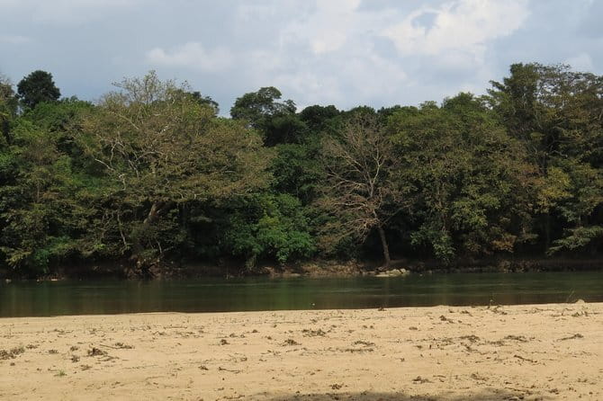 Wasgamuwa National Park Safari from Kandy - The 10:30 a.m. start and long road day