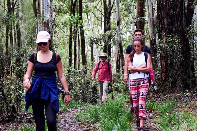 Wasgamuwa National Park Safari from Kandy - Who will enjoy this safari most