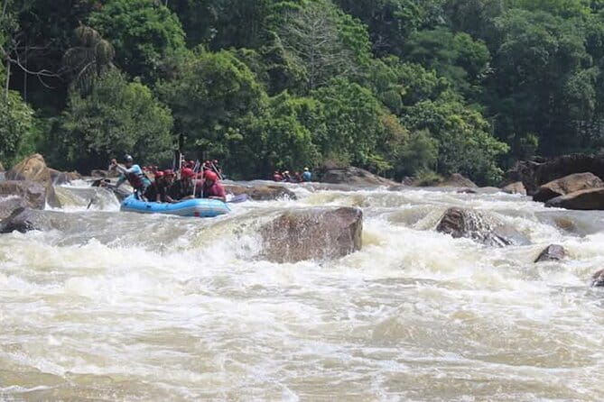 Wasgamuwa National Park Safari from Kandy - Practical advice for making the day better