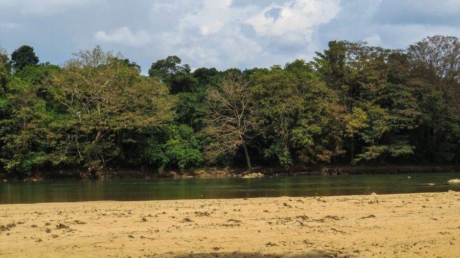 Wasgamuwa: Wasgamuwa National Park Private 3-Hour Safari - Beyond elephants: mammals, birds, and reptiles