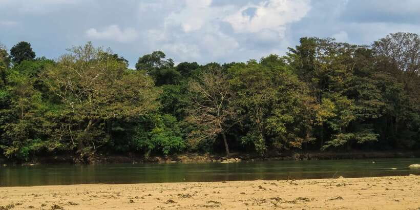 Wasgamuwa: Wasgamuwa National Park Private 3-Hour Safari - Morning or afternoon: choosing your timing