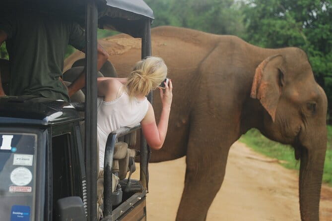 Waterfall Tour & nine arch bridge Ella - A private ride instead of a rented tuk-tuk