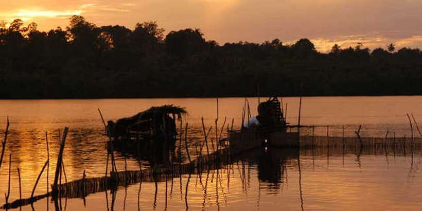 West coast Beach, River Mangroves lagoon, Wildlife boat Tour - Should you book this tour?