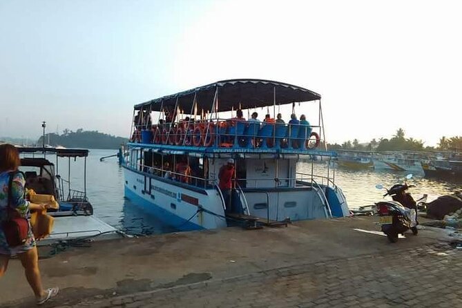 Whale Watching Experience in Mirissa - Dolphins, turtles, flying fish, and more