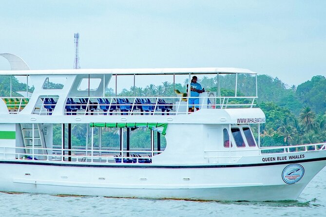 Whale Watching Mirissa Ultimate Tour in Sri Lanka with Breakfast - Key points to know before you book