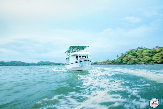 Whale Watching Mirissa Ultimate Tour in Sri Lanka with Breakfast - Setting out from Mirissa Fisheries Harbour at 7:00 AM