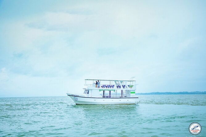 Whale Watching Mirissa Ultimate Tour in Sri Lanka with Breakfast - Dolphins, turtles, and smaller moments at sea