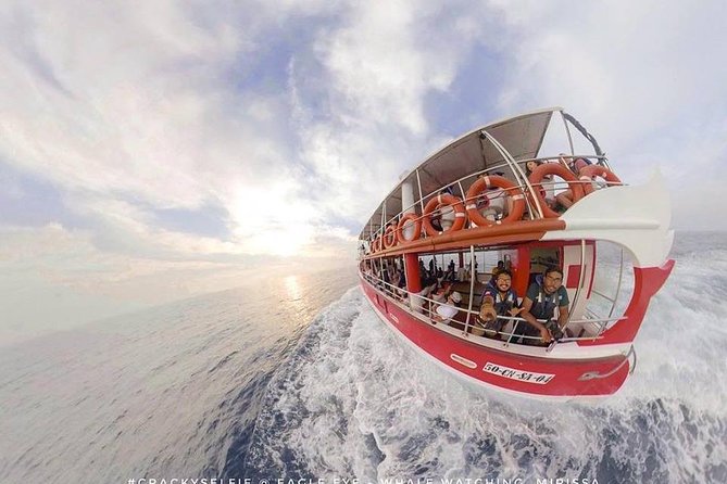 Whale Watching Mirissa with Eagle Eye - Dolphins, turtles, and the wider sea