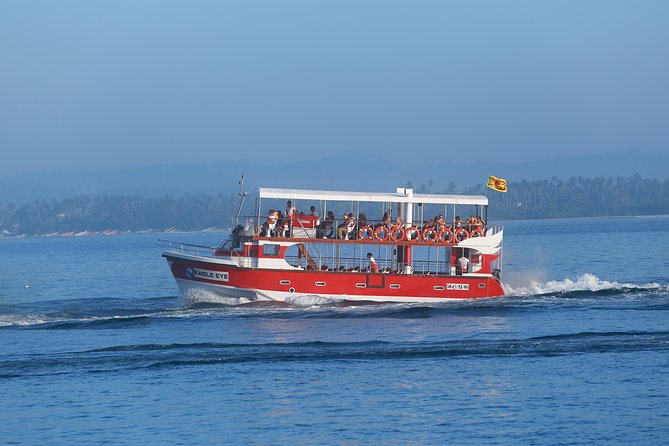Whale Watching Mirissa with Eagle Eye - What the trimaran offers onboard
