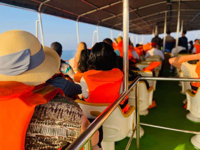 Whale Watching Tour with Transfers - What you may see in Mirissa’s waters