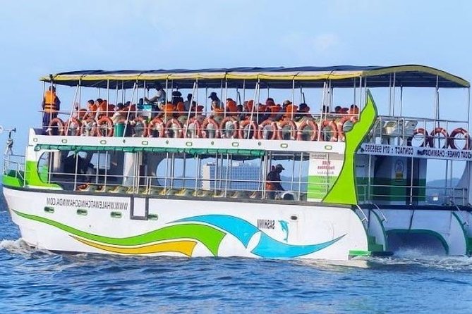 Whales and Dolphins Watching-Luxury Super Grade Cruiser(Hotel Pick up offered) - Leaving Mirissa before the heat