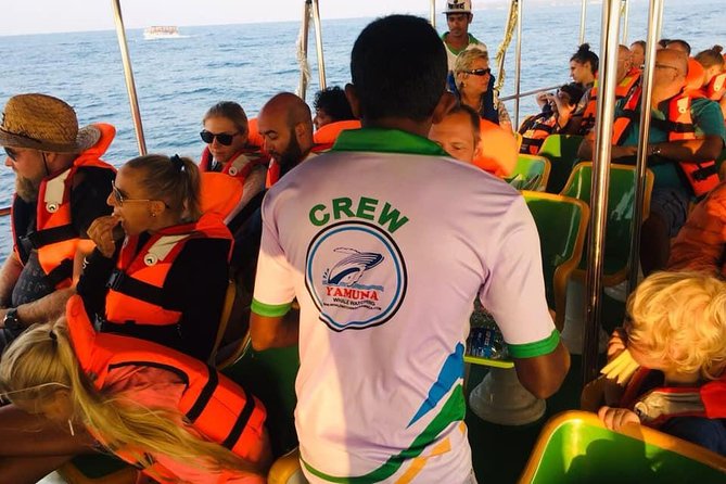 Whales and Dolphins Watching-Luxury Super Grade Cruiser(Hotel Pick up offered) - A cruiser with practical comforts, not true luxury