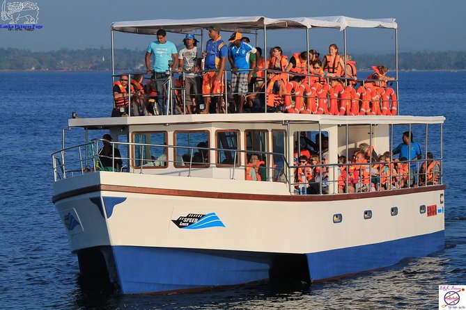 Whales and Dolphins Watching Mirissa - Cancellation and practical booking advice