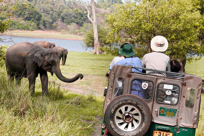 Wild Elephant Safari in Minneriya National Park - A three-hour route through changing terrain