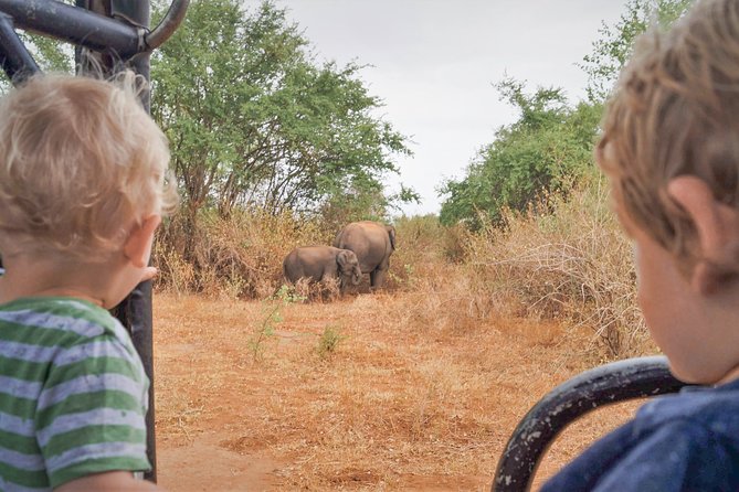 Wild Elephant Safari in Minneriya National Park - What you might see beyond the elephants
