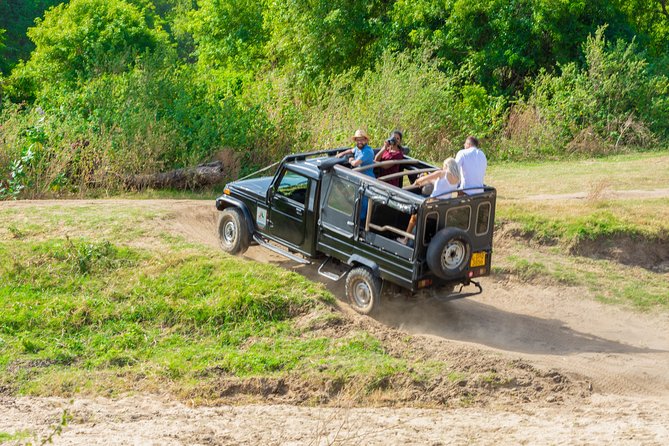 Wild Elephant Safari in Minneriya National Park - Should you book it?